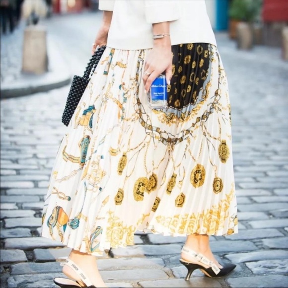 NWT ๐ ZARA ๐ Print Chain Pleated Skirt ๐ Small - Picture 5 of 8